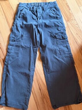 American Eagle Outfitters Wide Leg Cargo Pants in Slate Blue
